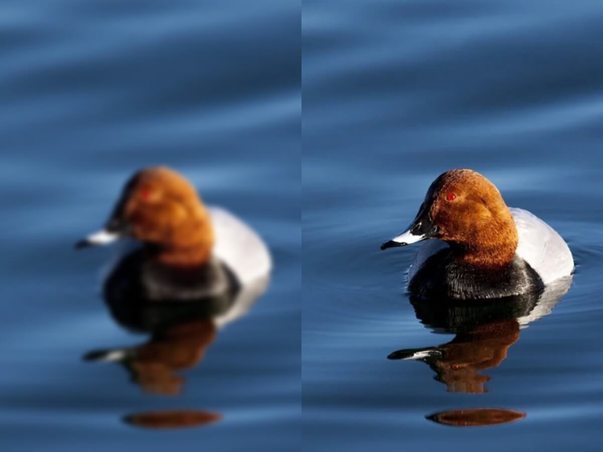 How to Unblur Images on Chromebook