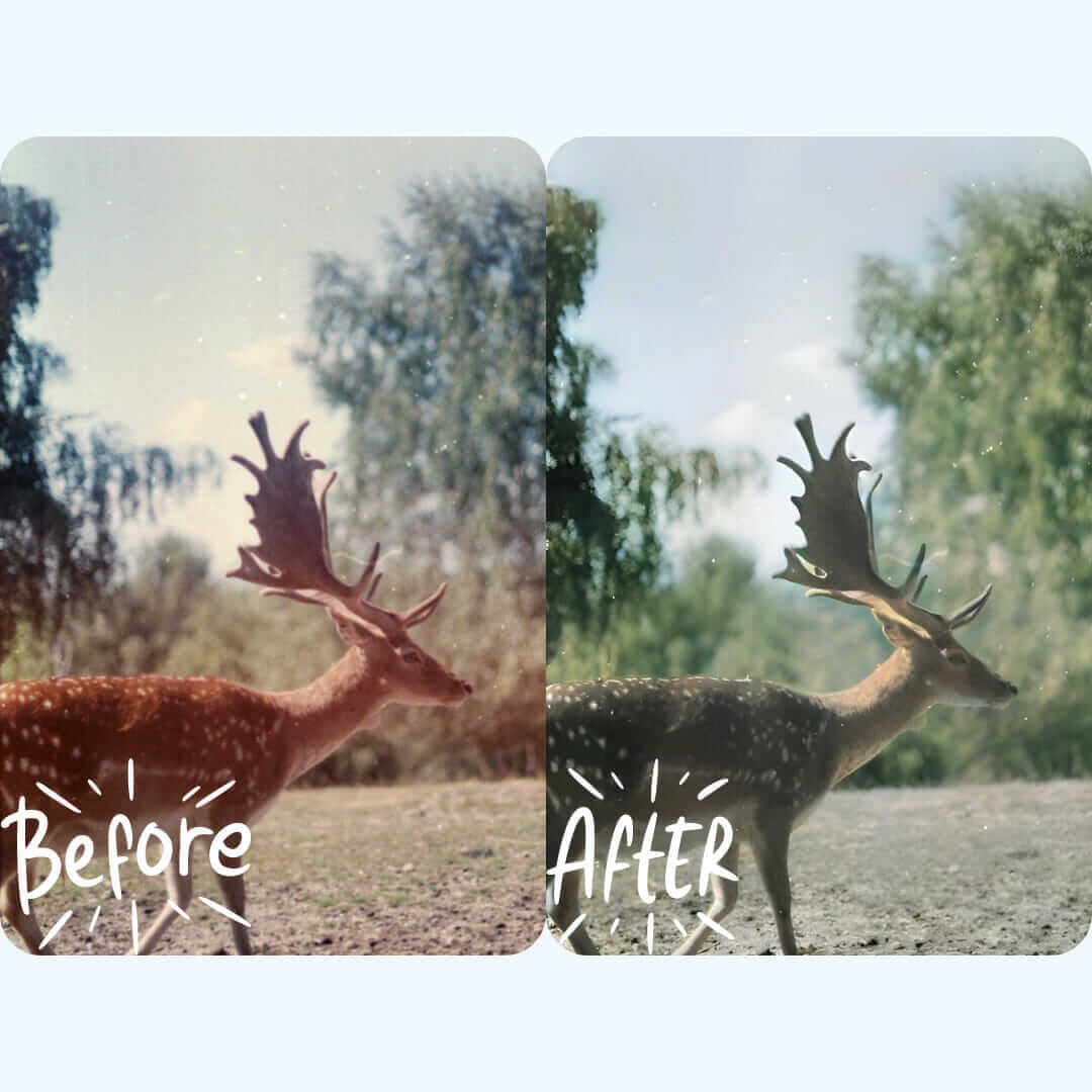 how-to-make-a-photo-high-resolution-for-free