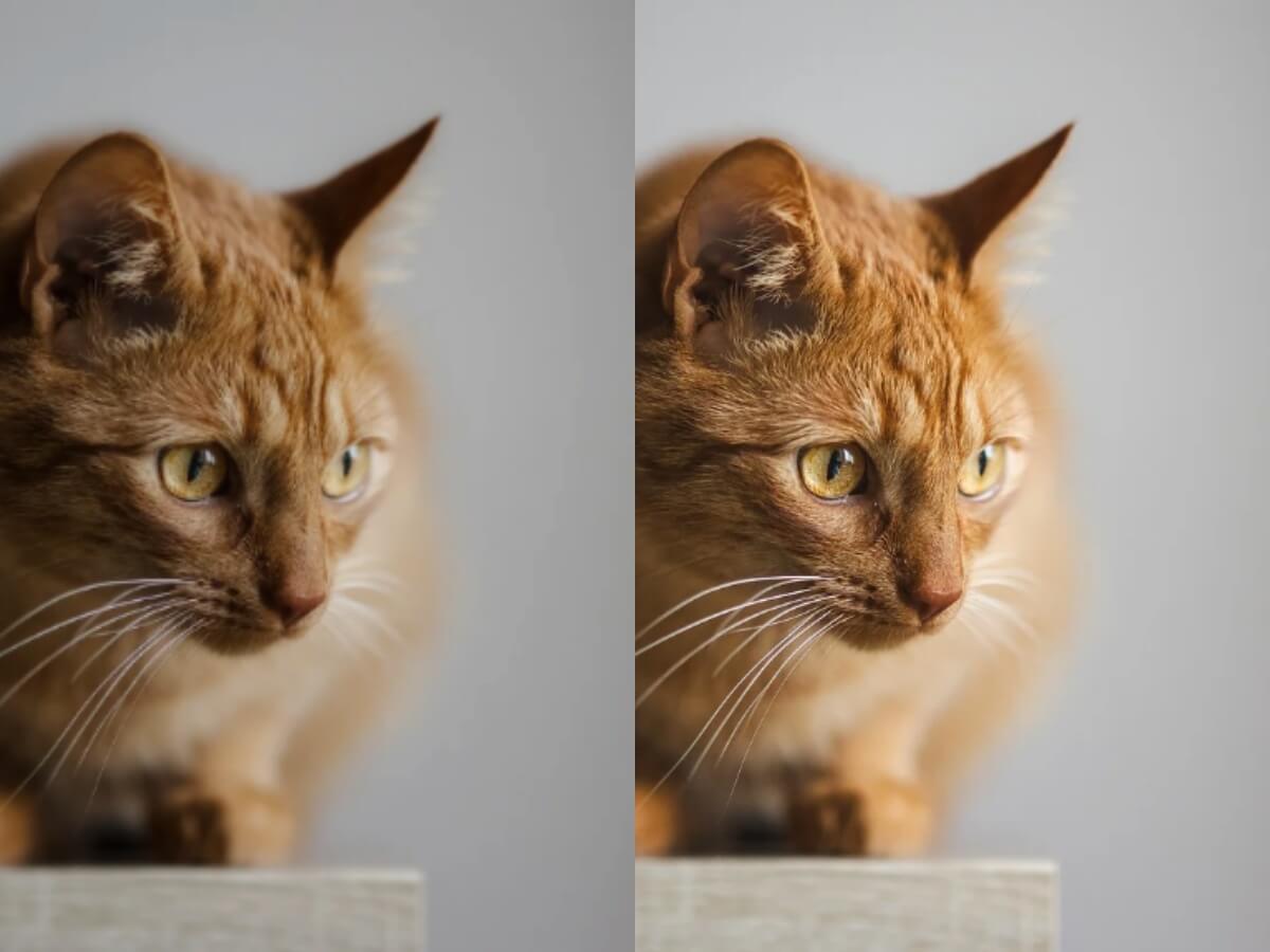 How to Improve the Quality of Downloaded Pictures